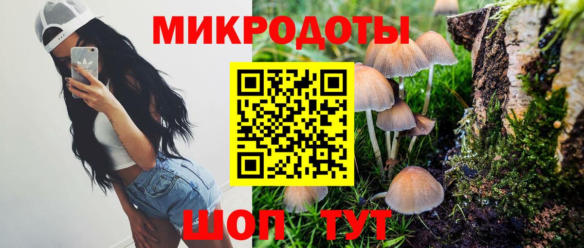 Галлюциногенные грибы Cubensis  Галлюциногенные грибы MAGIC MUSHROOMS  Кудымкар  Вход с VPN 